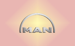 ✓ MAN N1.01401.0031 Запчасти МАН (MAN) 